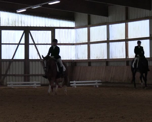 Reitturnier Werdohl-Rentrop 2023
