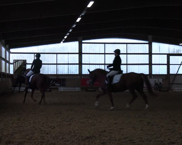 Reitturnier Werdohl-Rentrop 2023