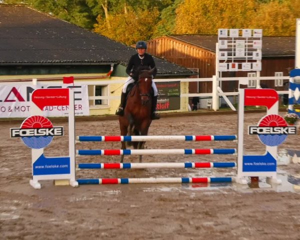 Reitturnier Teupitz 2023