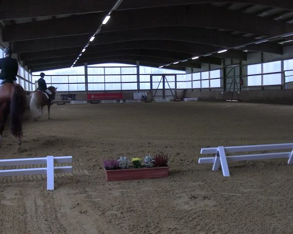 Reitturnier Werdohl-Rentrop 2023