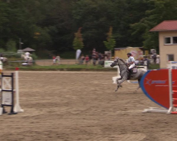 Reitturnier Lgl.-Oberhain, B95 2021