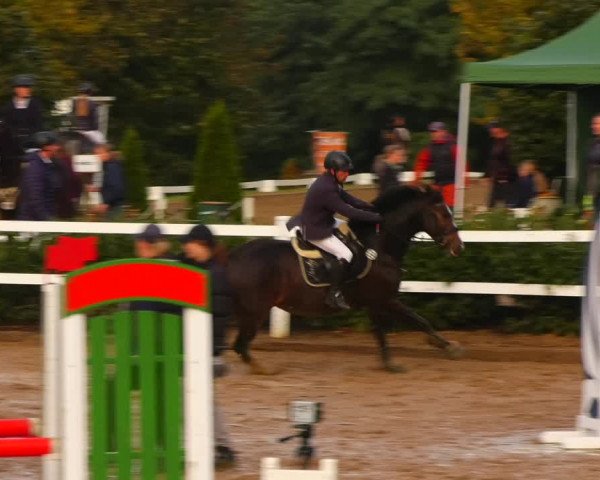 Reitturnier Teupitz 2023