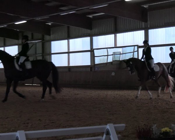 Reitturnier Werdohl-Rentrop 2023