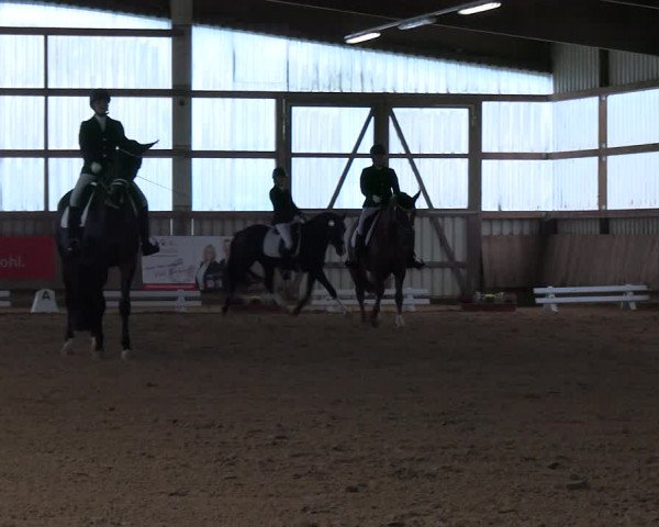 Reitturnier Werdohl-Rentrop 2023
