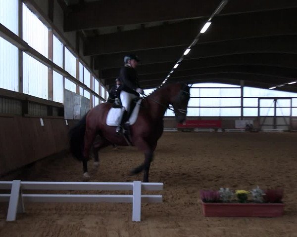 Reitturnier Werdohl-Rentrop 2023