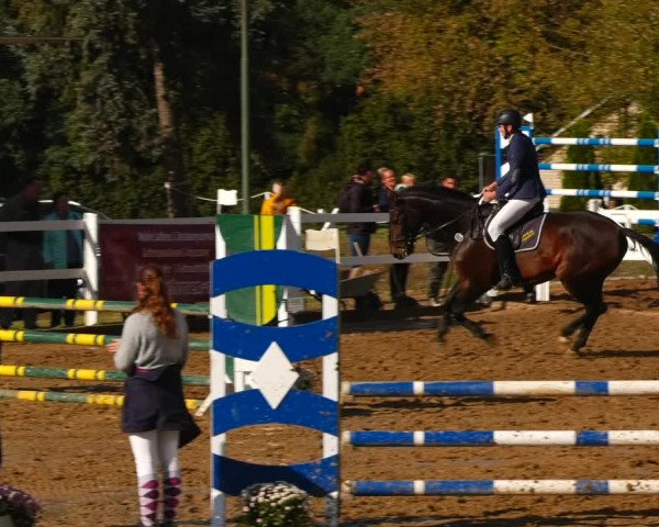 Reitturnier Teupitz 2023