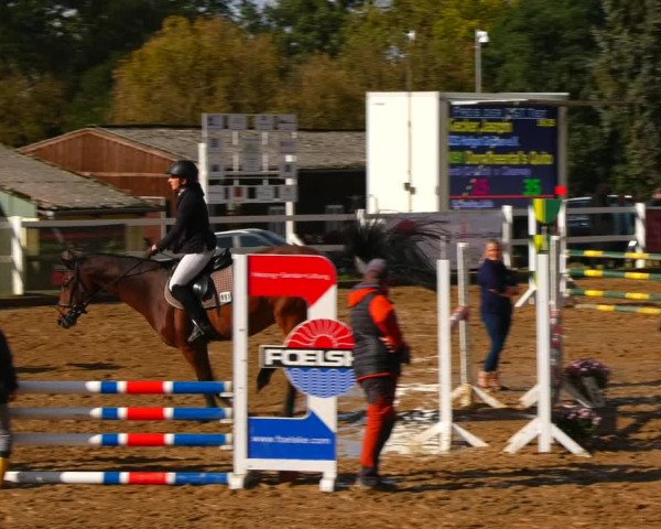 Reitturnier Teupitz 2023