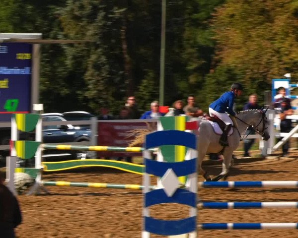 Reitturnier Teupitz 2023