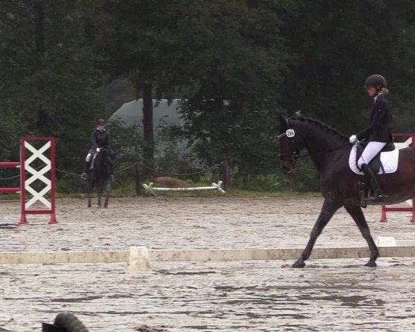Reitturnier Handorf 2023