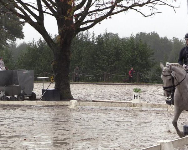 Reitturnier Handorf 2023