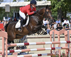 jumper Evye Quatre Saisons (French Pony, 2014, from Hh Copin van de Broy)