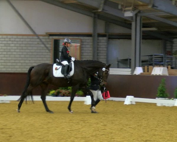 Reitturnier Bottrop-Kirchhellen 2023