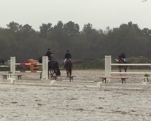 Reitturnier Handorf 2023