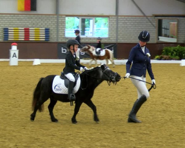 Reitturnier Bottrop-Kirchhellen 2023