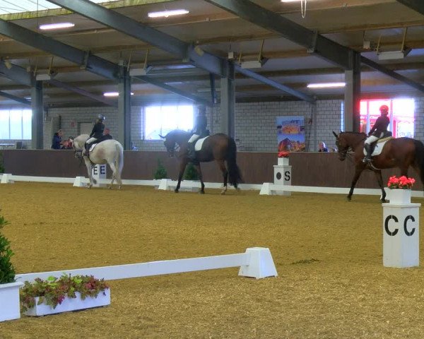 Reitturnier Bottrop-Kirchhellen 2023