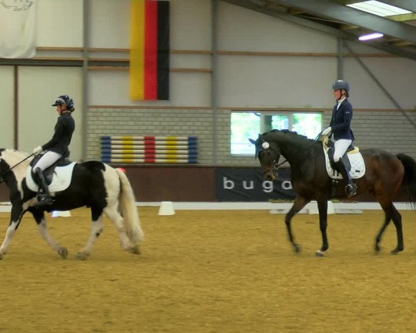 Reitturnier Bottrop-Kirchhellen 2023