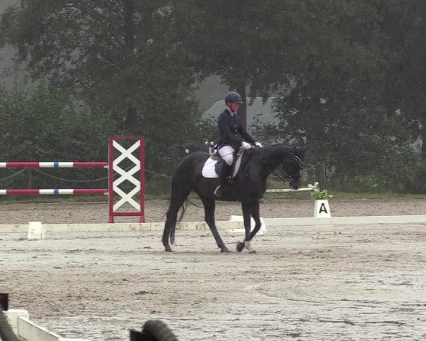 Reitturnier Handorf 2023
