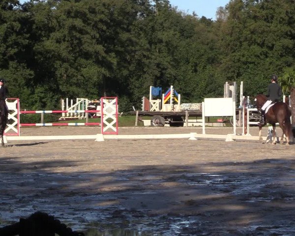 Reitturnier Handorf 2023