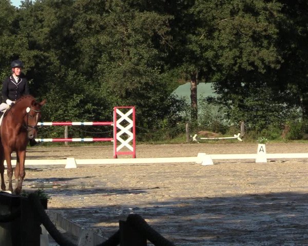 Reitturnier Handorf 2023