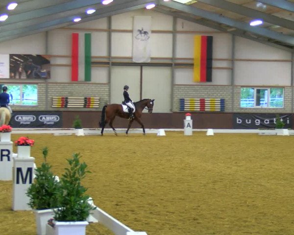 Reitturnier Bottrop-Kirchhellen 2023