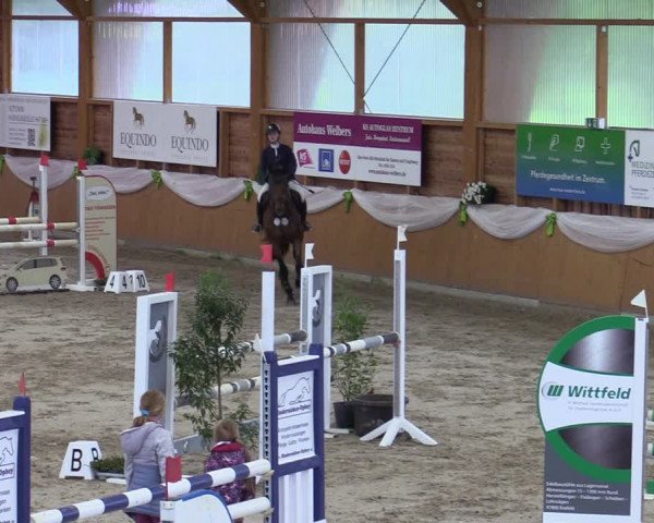 Reitturnier Xanten - Reitanlage Miss 2023