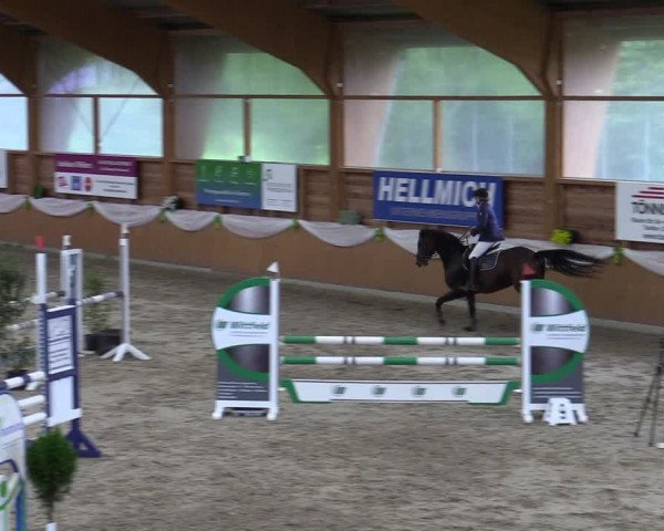 Reitturnier Xanten - Reitanlage Miss 2023