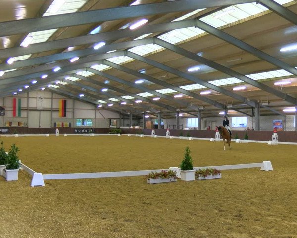 Reitturnier Bottrop-Kirchhellen 2023