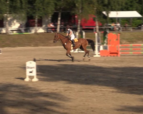 Reitturnier Lgl.-Oberhain, B95 2021