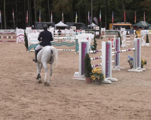 Reitturnier Ranshofen - Braunau am Inn 2023