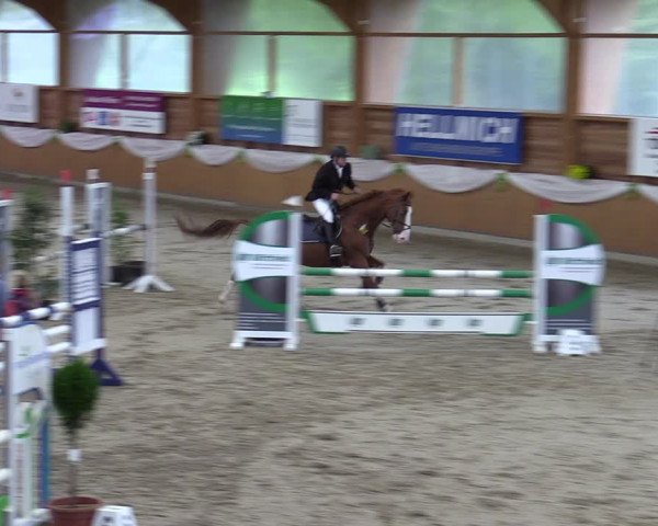 Reitturnier Xanten - Reitanlage Miss 2023