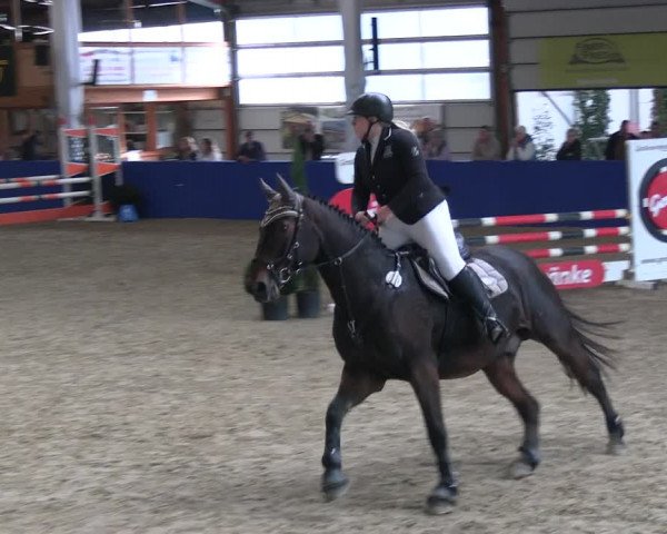 Reitturnier Isterberg 2023