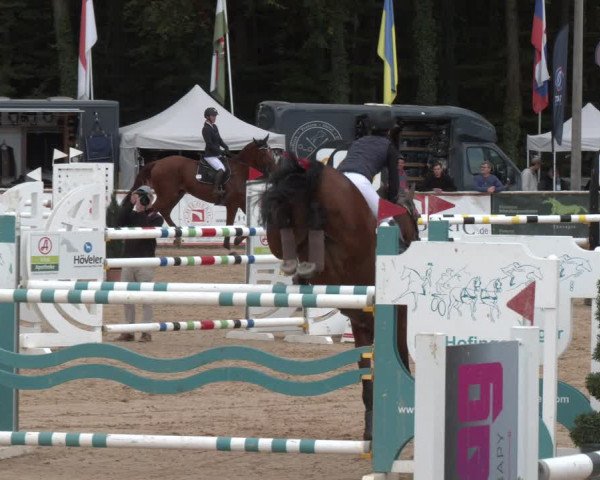 Reitturnier Ranshofen - Braunau am Inn 2023