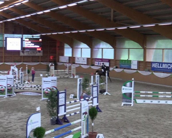 Reitturnier Xanten - Reitanlage Miss 2023