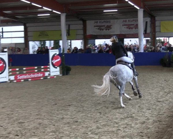 Reitturnier Isterberg 2023