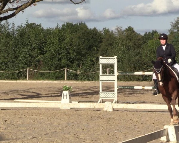 Reitturnier Handorf 2023
