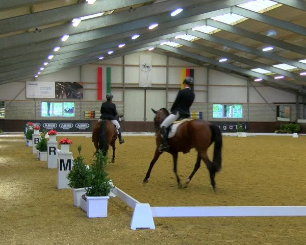 Reitturnier Bottrop-Kirchhellen 2023