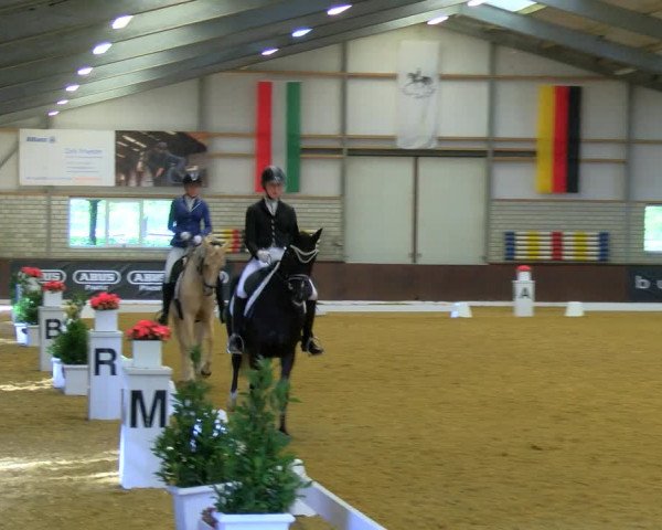 Reitturnier Bottrop-Kirchhellen 2023