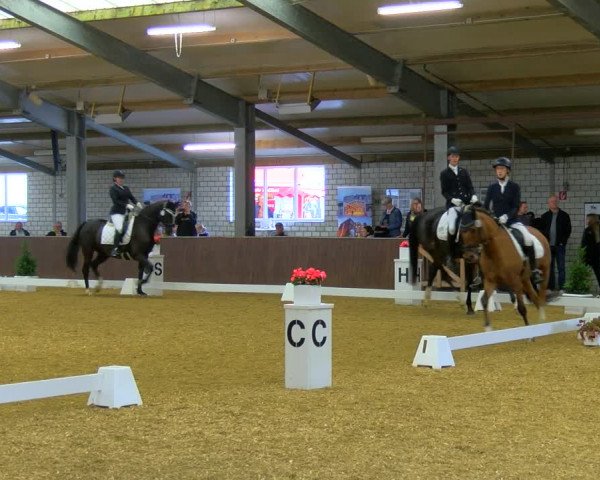 Reitturnier Bottrop-Kirchhellen 2023