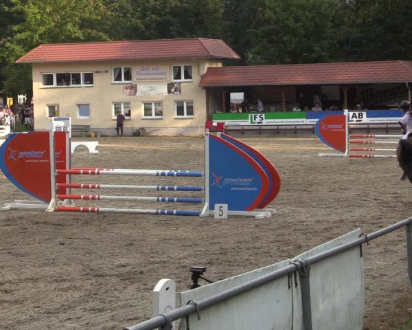 Reitturnier Lgl.-Oberhain, B95 2021