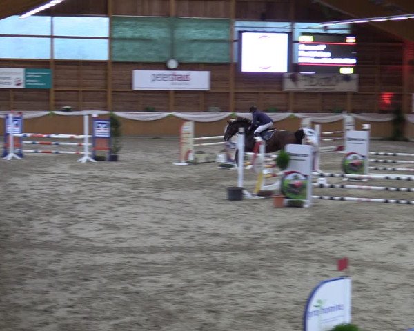 Reitturnier Xanten - Reitanlage Miss 2023