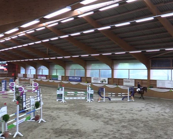 Reitturnier Xanten - Reitanlage Miss 2023