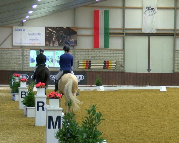 Reitturnier Bottrop-Kirchhellen 2023