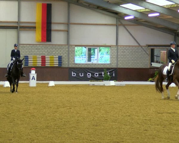 Reitturnier Bottrop-Kirchhellen 2023