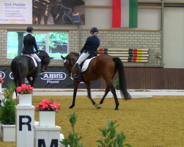 Reitturnier Bottrop-Kirchhellen 2023