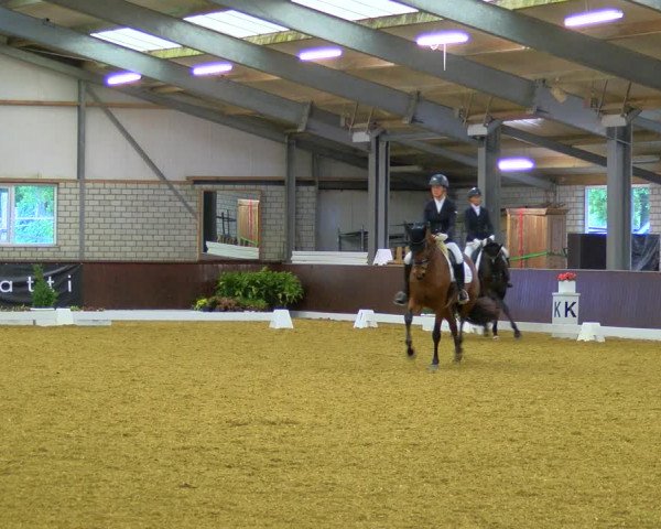 Reitturnier Bottrop-Kirchhellen 2023