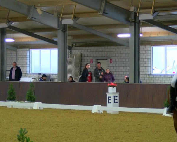 Reitturnier Bottrop-Kirchhellen 2023