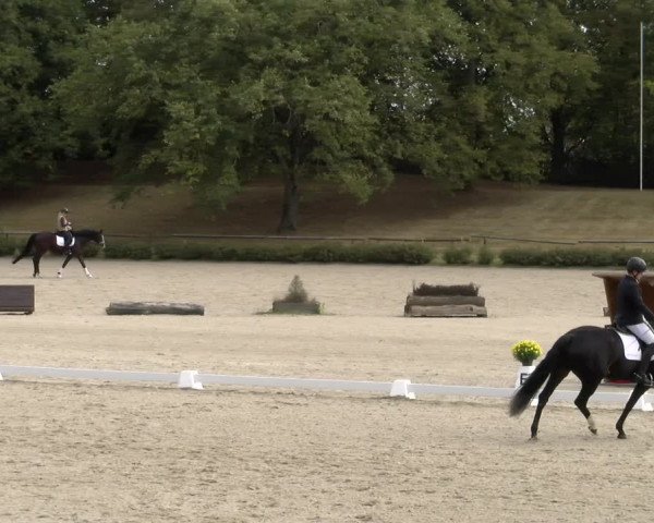 Reitturnier Tübingen 2023