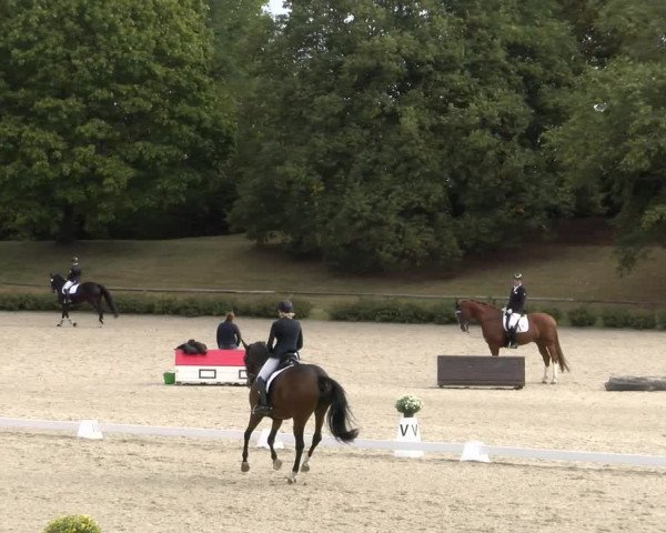 Reitturnier Tübingen 2023