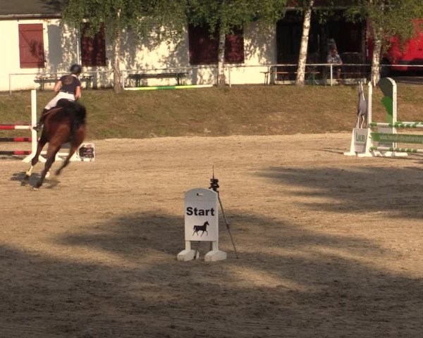 Reitturnier Lgl.-Oberhain, B95 2021