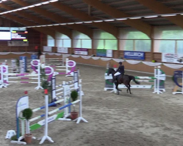 Reitturnier Xanten - Reitanlage Miss 2023